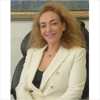 מירב לוי - משרד עורכי דין