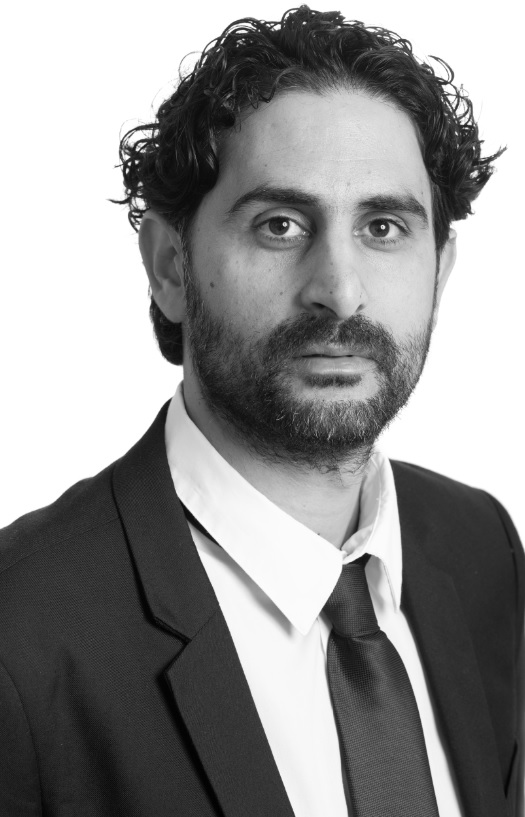 נמרוד חיים הראל, משרד עורכי דין