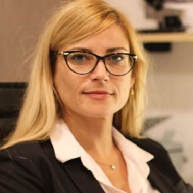 עורך דין, מדיניות רשות המיסים מטביעה את ענף השייט בישראל