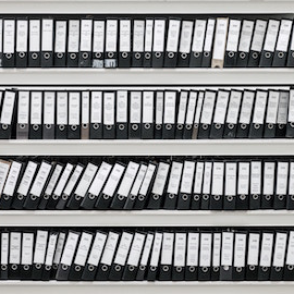 עורך דין, למרות עבר פלילי: משרד הפנים יחדש אשרת שהייה לבני זוג 