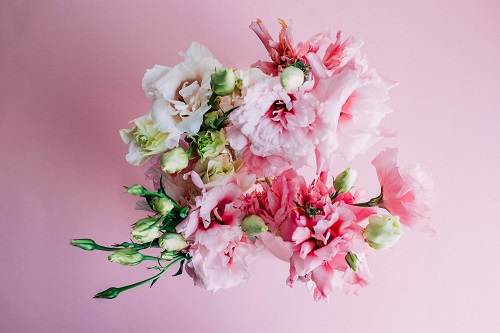 עורך דין מסחרי, מגדלי פרחים סירבו לשלם עבור זרעים - וחויבו בבימ"ש