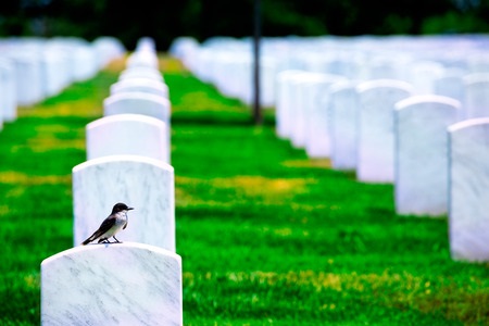 דיני חוזים, תושב סביון זכה: המועצה המקומית תשמור שתי חלקות קבר לבנותיו