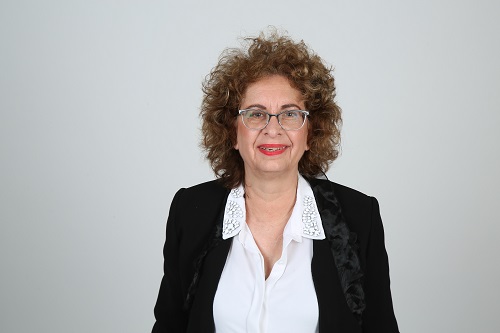 עו"ד לענייני משפחה, הסכם המכר הוא בעצם הסכם מתנה – המגרש שייך לבן ולאשתו