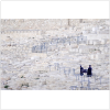 עורך דין דיני נזיקין, המועצה הדתית תפצה על כך שהעבירה גופה לקבר אחר בלי להודיע למשפחתו